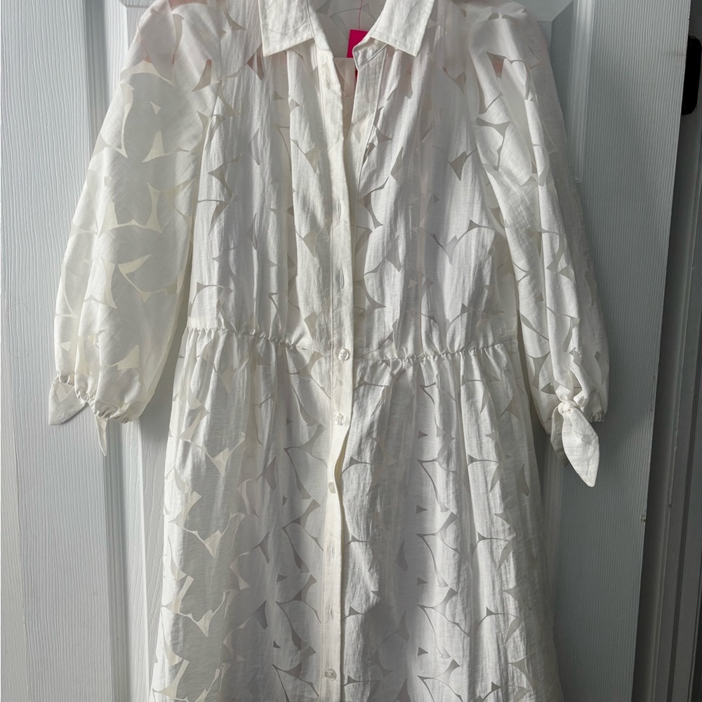 Lilly Pulitzer Amirita Dress